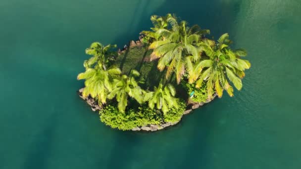 オアフハワイ 小さな緑のヤシの木の島の背景 ゴールデンサンセットライトのトップビュートロピカルアイランド 海の風に揺れている空の緑のココナッツヤシの木 ドローンショットブルーラグーン ワイキキビーチ — ストック動画