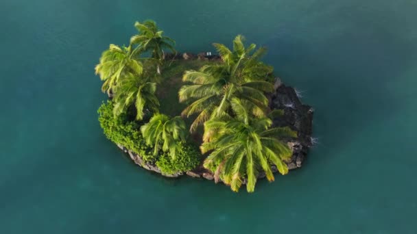 德隆在夏威夷瓦胡岛的威基基海滩拍摄了蓝色泻湖 小绿色棕榈树岛背景 在金色落日的光芒下俯瞰热带岛屿 空中的绿色椰子树在海风中摇曳 — 图库视频影像