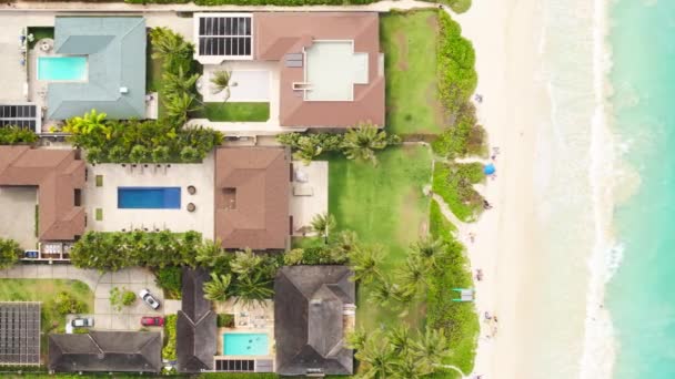 Kailua镇昂贵的海滨别墅 有蓝色游泳池 奢华的生活方式华湖美国4K 位于风景秀丽的夏威夷岛上的顶层地产 自上而下的房地产商提供复制背景 — 图库视频影像
