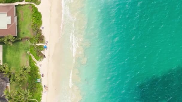 奢华的生活方式华湖美国4K 位于风景秀丽的夏威夷岛上的顶层地产 自上而下的房地产销售提供复制背景 Kailua镇昂贵的海滨别墅和蓝色游泳池 — 图库视频影像