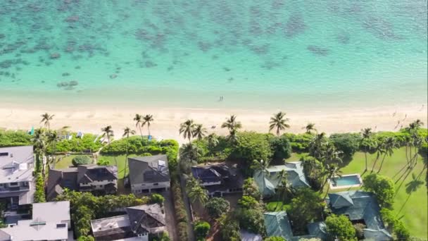 Dron Strzelał Nad Wodą Pięknej Wyspie Hawajów Sprzedaż Nieruchomości Oferty — Wideo stockowe