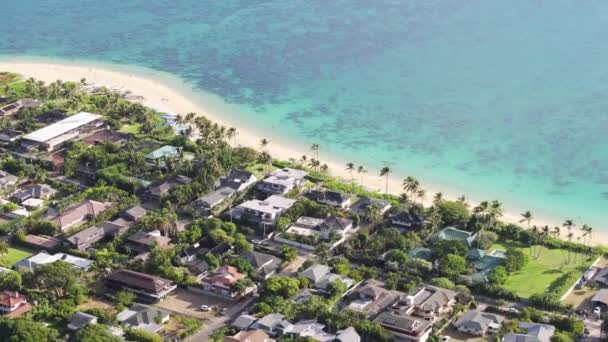 奢华的生活方式华湖美国4K 房地产销售提供复制背景 在美丽的夏威夷岛上 无人机在海滨上空盘旋 Lanikai村昂贵的海滩别墅和别墅 — 图库视频影像