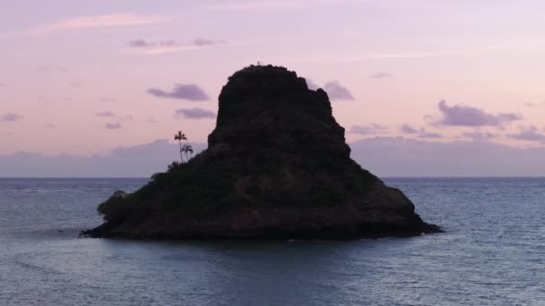 Belle Silhouette Sombre Deux Palmiers Sur Bord Île Basalte Mokolii — Video