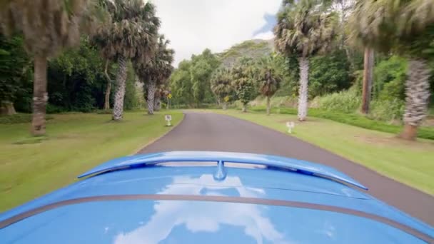 晴れた夏の日にはトロピカルガーデンパークで車を運転するコンバーチブルカーの後部からの眺め 背景に映画のハワイの山と乗るコンバーチブルカーの青いトランク オアフ島 ハワイ — ストック動画