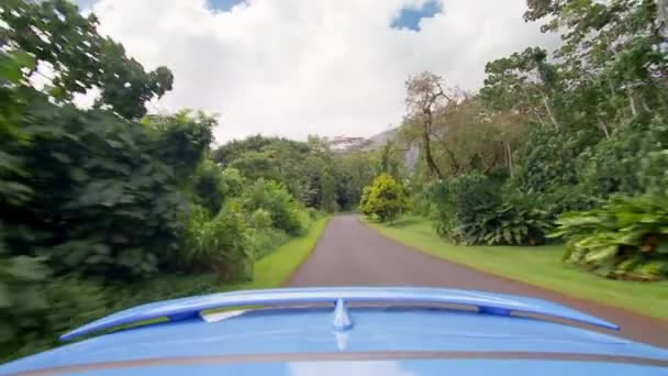 Olhando Para Trás Montando Carro Azul Conversível Por Exuberante Jardim — Vídeo de Stock
