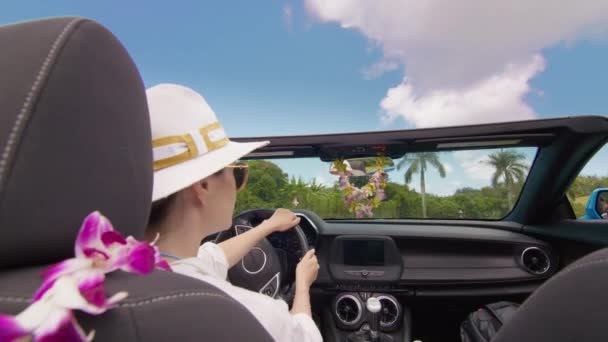 Outdoor Adventure Summer Trip Coconut Palms Convertible Modern Car Back — Stock Video