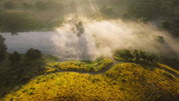 호수의 모니카 앤젤레스 캘리포니아 미국의 계곡에서 안개를 광선에 숨막히는 미스테리 — 비디오