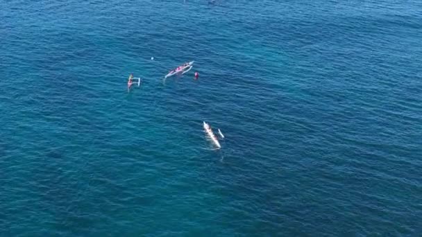 Vista Aérea Equipes Atléticas Competir Barco Tradicional Canoa Havaiana Atividade — Vídeo de Stock