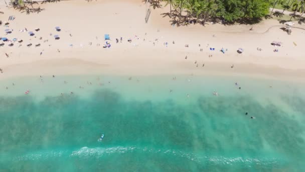 오아후 하와이 목적지 아래로 배경에 이국적인 섬에서 휴가를 즐기는 사람들 — 비디오