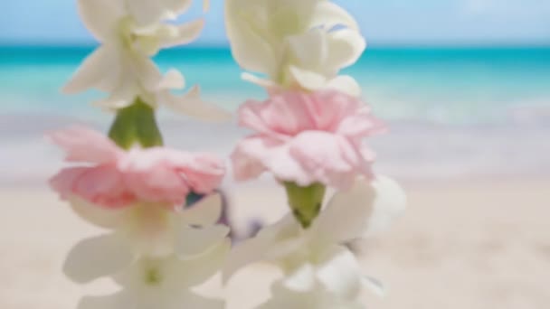 Havaj Cestovat Kinematografické Pozadí Dvěma Plážovými Chars Modrém Oceánu Havajský — Stock video