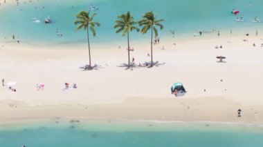 Mavi lagünlerdeki yeşil palmiye ağaçlarının hava manzarası. Oahu 'da bronzlaşan turistler. Aileler yazın tadını çıkarırlar. Waikiki tatil beldesi. Mutlu insanlar manzaralı tropik Hawaii 4K ile seyahat ediyorlar.