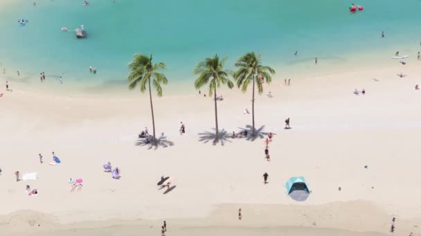 Gente Feliz Viajando Por Las Pintorescas Islas Tropicales Hawaii Turistas — Vídeos de Stock