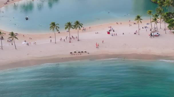 怀基基旅行目的地背景 快乐的人们在美丽的热带夏威夷群岛旅行 美国旅游概念 愉快的游客日光浴 在瓦胡岛上游泳放松 家庭享受夏天 — 图库视频影像