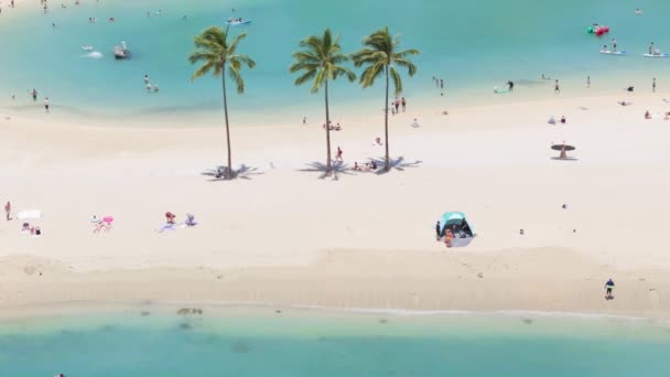 从空中俯瞰蓝色泻湖的绿树棕榈树 游客在瓦胡岛晒日光浴 家庭享受夏天 怀基基度假胜地旅游目的地 旅途愉快的夏威夷热带旅游胜地4K — 图库视频影像