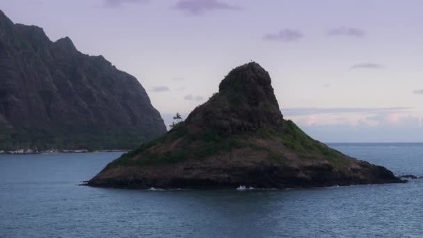 Δύο Φοίνικες Σκούρα Σιλουέτα Στην Άκρη Του Νησιού Mokolii Basalt — Αρχείο Βίντεο