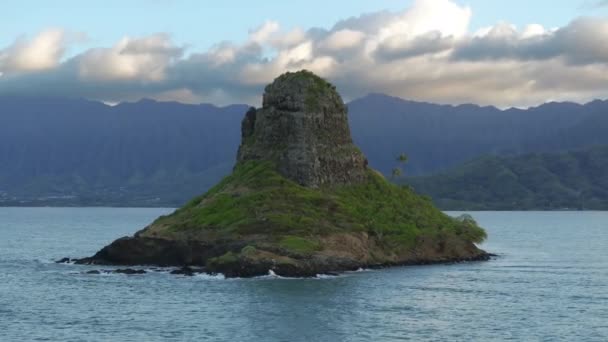 Kokospalmen Rande Der Insel Chinamans Hat Mit Dem Berg Kualoa — Stockvideo