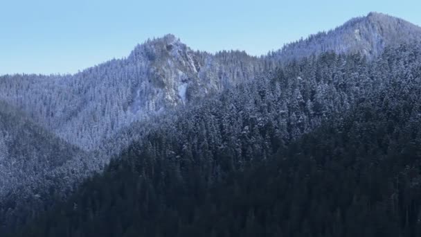 Snöiga Toppar Olympic National Park Delstaten Washington Nordamerika Vid Kanadas — Stockvideo