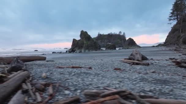 Ruby Beach Sulla Costa Occidentale Del Nord America Stato Washington — Video Stock