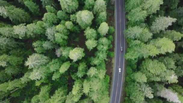Над Повітрям Над Людьми Які Досліджують Прекрасну Природу Штату Вашингтон — стокове відео