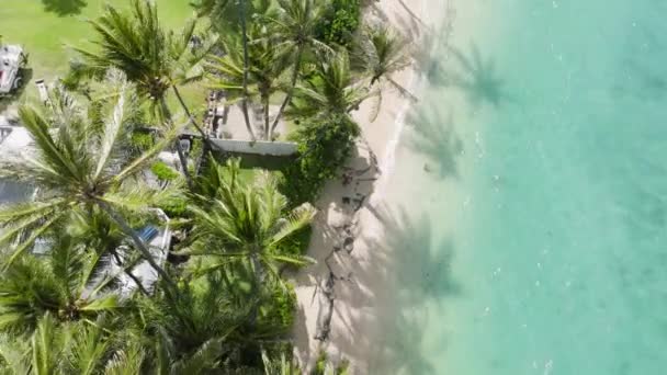 シネマティックな自然 透明な青い海洋の海岸の旅行先 緑のココナッツパーム晴れた夏の日 グリーンパラダイス島への夢の旅 美しいハワイビーチへのアウトドアアドベンチャー旅行 — ストック動画