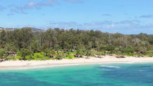 Екзотичні Пляжі Острова Оаху Літніх Канікулах Ідеальне Місце Відео Копіювання — стокове відео