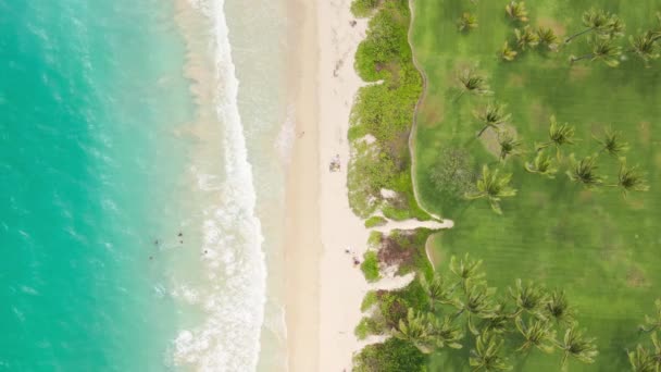 Dron Zastřelil Pláž Havaji Bílým Pískem Tekoucí Vodou Horní Pohled — Stock video