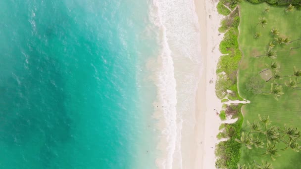 Kailua海滩上的波浪传播空中景观为热带瓦胡岛景观复制背景 无人机用白色的沙子和枯燥无味的水拍摄夏威夷海滩蔚蓝海水的美丽沙滩尽收眼底 — 图库视频影像