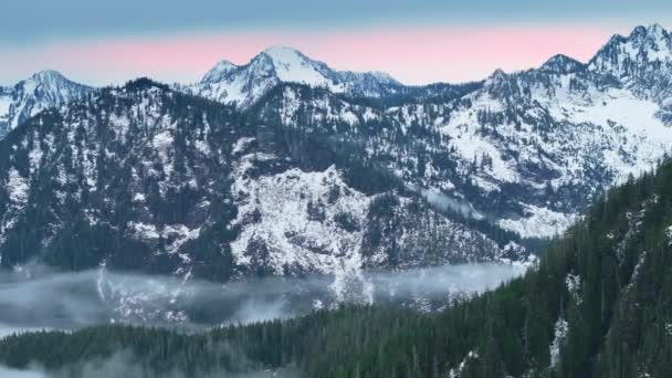 Όμορφα Βουνά Του Χειμώνα Αειθαλές Δάσος Γραφική Ομίχλη Στο Δάσος — Αρχείο Βίντεο