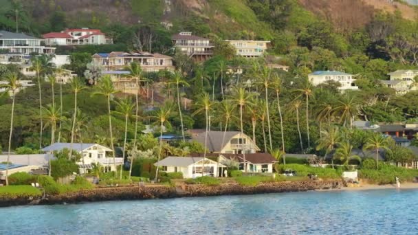 Nieruchomości Tropikalnej Wyspie Wynajem Domu Mieście Kailua Tło Gór Nieruchomości — Wideo stockowe