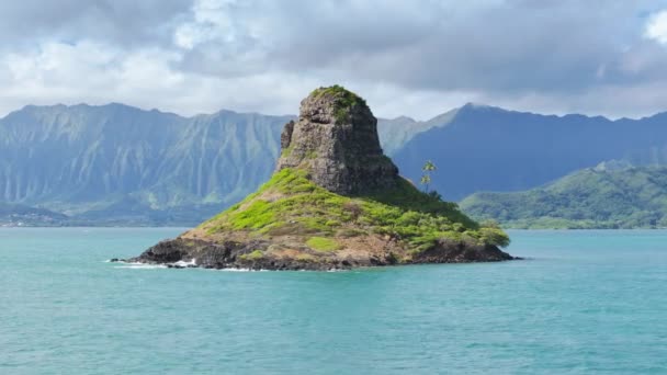 Oahu Reisbestemming Antenne Indrukwekkend Uniek Ecosysteem Milieu Hawaï Eiland Beroemd — Stockvideo