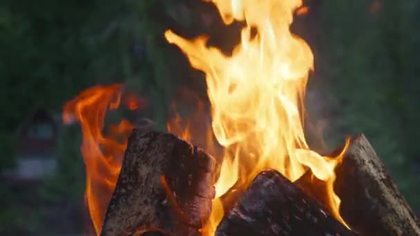 ボンファイアは フライングスパークスローモーションでログします 背景に美しい緑の森で屋外の夜キャンプで居心地の良いキャンプファイヤー 明るいオレンジ色の熱い炎を閉じる 火のピットで薪を燃やす — ストック動画