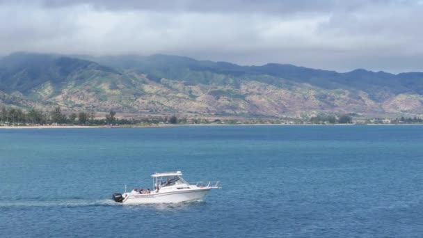 Haaien Tour Attracties North Shore Van Oahu Eiland Watersport Activiteit — Stockvideo