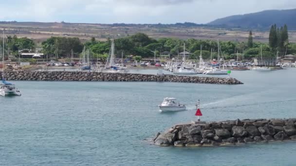 小さな魚のボートは 動きの背景にある風光明媚なオアフ山とハイラワ港を離れています オアフ島のノースショアのサメツアーアトラクション 夏の晴れた日の空中ハワイでのウォータースポーツ活動 — ストック動画