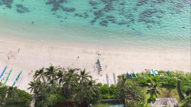 カヌーをビーチに戻す空中ランカイクラブチームのトップ アウトリガーカヌーはオープンな海で競争する ハワイ諸島の伝統的な交通と釣り ポリネシアの文化 アメリカ — ストック動画