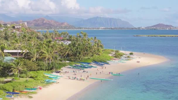 Traditioneller Transport Und Fischfang Den Inseln Hawaii Und Polynesien Luftaufnahme — Stockvideo