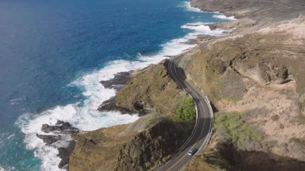 효과로 무성한 하와이 언덕과 분화구 전망을 자연에 경치가 아름다운 — 비디오