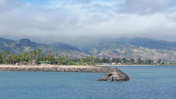 Εναέρια Άποψη Του Λιμανιού Haleiwa Σημείο Αλιείας Γραφικές Παλάμες Στο — Αρχείο Βίντεο