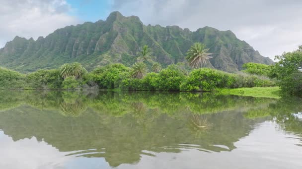 Havaj Cestování Kopírovat Prostor Pozadí Úchvatné Výhledy Majestátní Zelené Vrcholky — Stock video