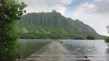 İnsansız hava aracı, Jurasik doğa dağ sırtı olan ahşap tekne iskelesinin üzerinde alçaktan uçuyor. Oahu adasındaki destansı manzaralar. Hawaii adasında dramatik bulutlu bir sabah. Göllü gizli plaj çekim yeri