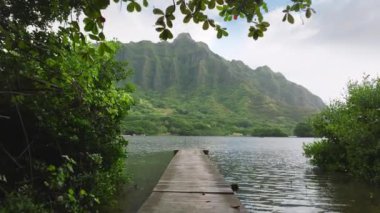 Oahu adasındaki destansı manzaralar. Göllü gizli plaj çekim yeri. Hawaii adasında dramatik bulutlu bir sabah. İnsansız hava aracı, Jurasik doğa dağ sırtı olan ahşap kayık iskelesinin üzerinde alçaktan uçuyor.