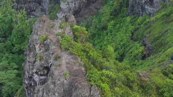 游客们在野外探险4K 人们在危险的陡峭悬崖边远足 在瓦胡岛的Kahekili海岭上 冒险的人们弯腰驼背地爬上了狮子道 夏威夷热带丛林探险 — 图库视频影像
