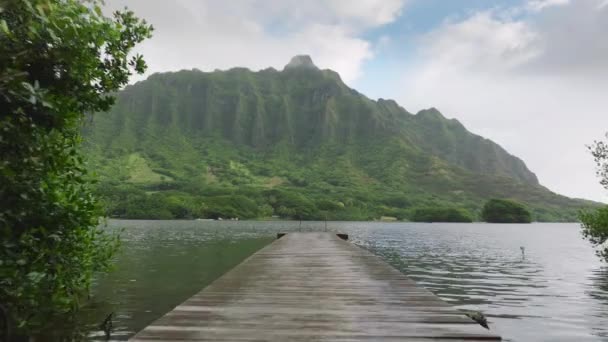 木製のボート桟橋の上を低く飛行するドローンは 映画のジュラシックな自然の山の尾根で オアフ島のエピック風景 ハワイ島のドラマティックな曇りの朝 池のある秘密のビーチ撮影場所 — ストック動画
