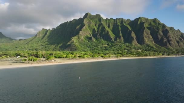 Jongeman Training Lichaam Met Filmische Hawaii Natuur Bewegende Achtergrond Knappe — Stockvideo
