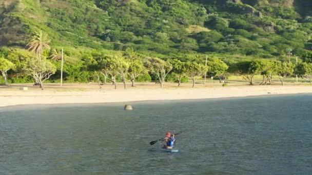 在阳光明媚的日出时分 在蓝色的大海中划桨的运动员上空近距离飞行 年轻男子训练身体与电影夏威夷的性质在运动背景 船桨板上的帅哥喜欢水上运动 — 图库视频影像