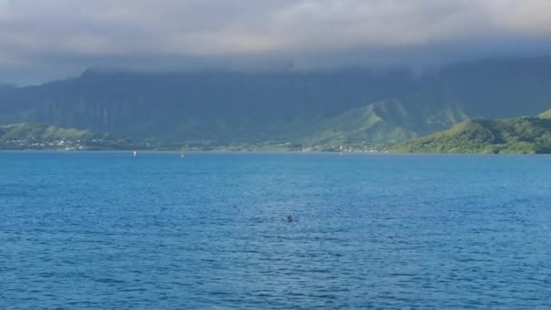 Letecký Pohled Atletického Chlapíka Pádlujícího Modrém Otevřeném Oceánu Slunečného Rána — Stock video