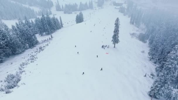 Erstaunliche Ausblicke Auf Magische Schneebedeckte Tannen Auf Bergen Die Mit — Stockvideo