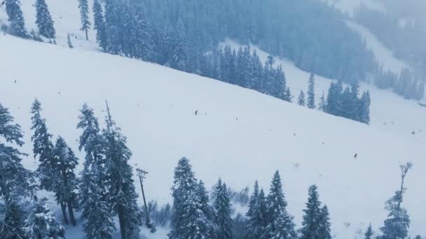 Stevens Pass Skidanläggning Panorama Filmflygning Skidåkning Vintersemester Professionella Skidåkare Washington — Stockvideo