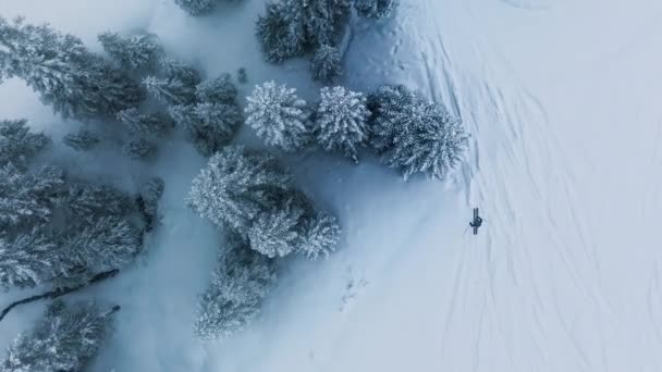 慢动作空中冬季运动下雪天 下雪天上坡 一名滑雪者滑行在华盛顿史蒂文斯帕斯滑雪胜地的山下 滑行于电影般的冬季森林中 拍摄了他的头像 — 图库视频影像