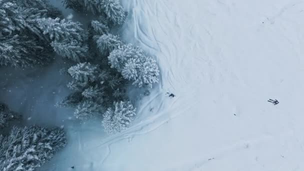 Dva Lyžaři Lyžují Zasněženém Svahu Borovém Lese Dronové Záběry Snowboardistů — Stock video