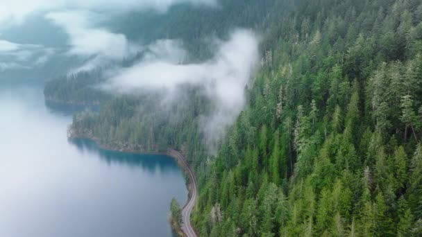 华盛顿雨林笼罩着神秘的雾 高大的绿色云杉在雾中松树 雾天沿着美丽的新月湖走风景路线 奥运国家公园的空中电影常绿森林路 — 图库视频影像